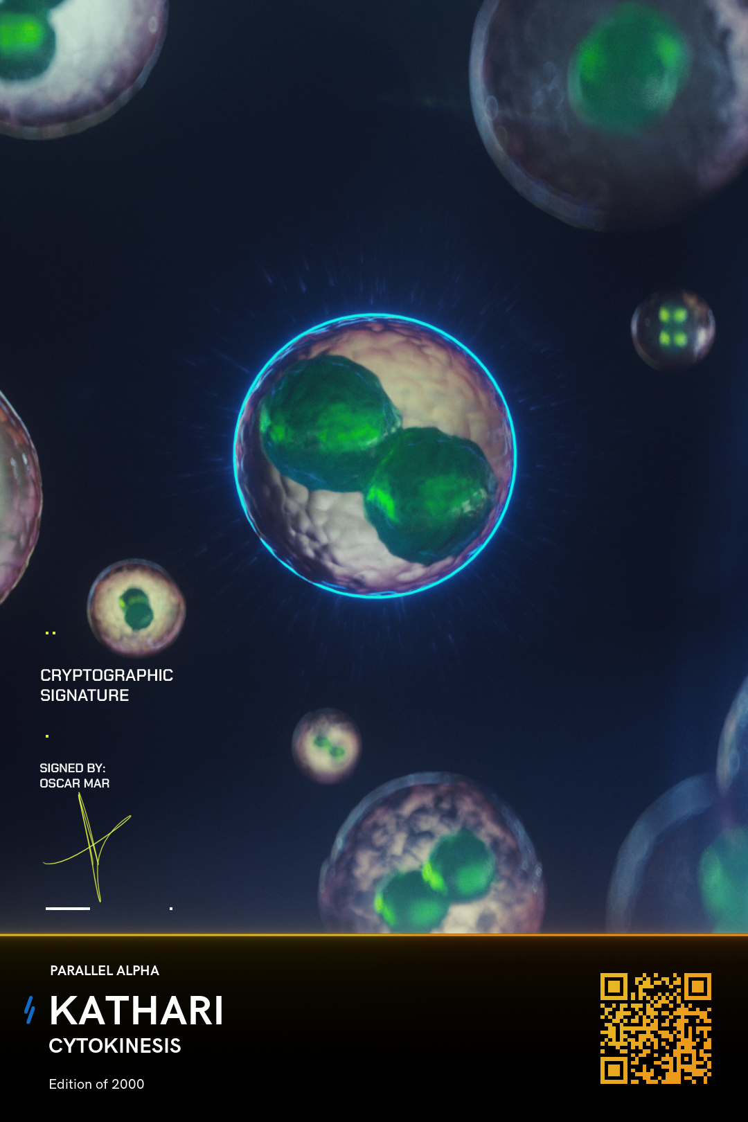 Cytokinesis - Artigraph